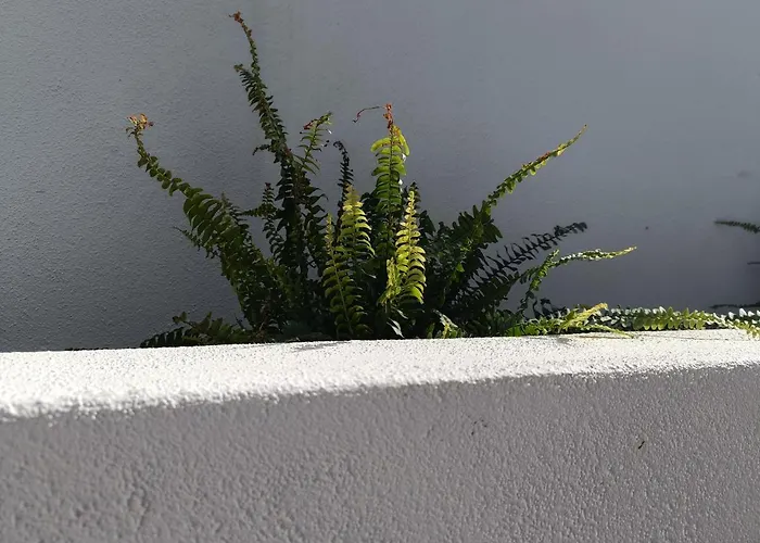 Gozo - New Luxury With Private Pool